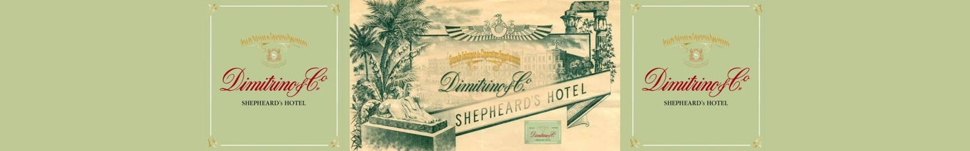 Logo Banner Dimitrino & Co.