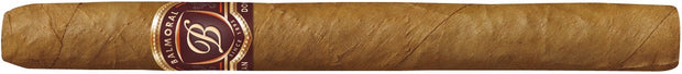 Einzelne Balmoral Small Panatela Zigarre, schlankes und elegantes Format