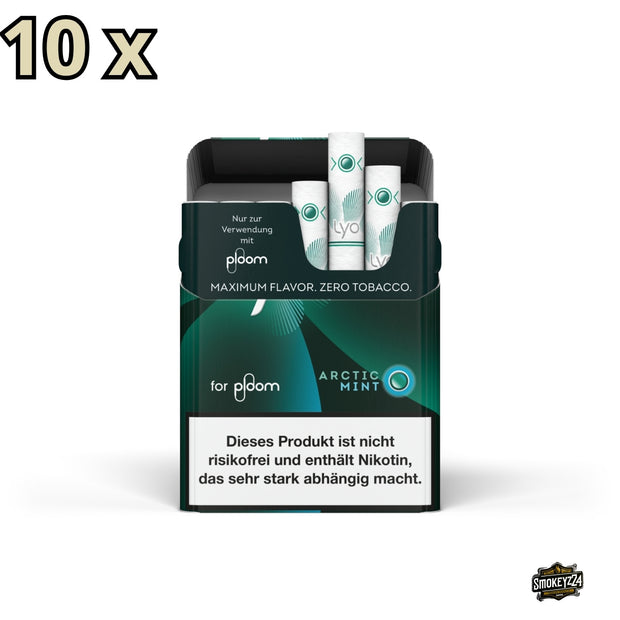 10x LYO Arctic Mint Nikotinsticks Packung frontal geöffnet