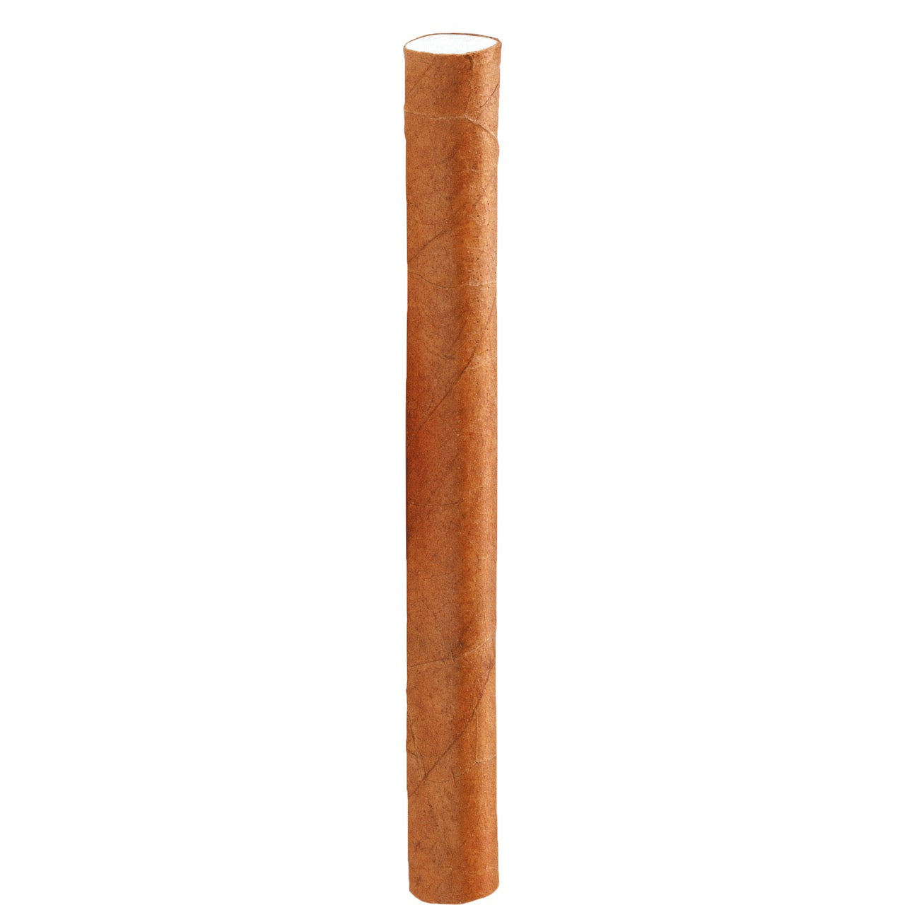 Ein einzelnes Mogador Blond Filter Cigarillo mit Vanillearoma