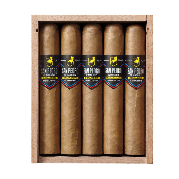 Geöffnete Holzkiste mit San Pedro de Macoris Ecuador Robusto Zigarren, 20 Zigarren ordentlich arrangiert.