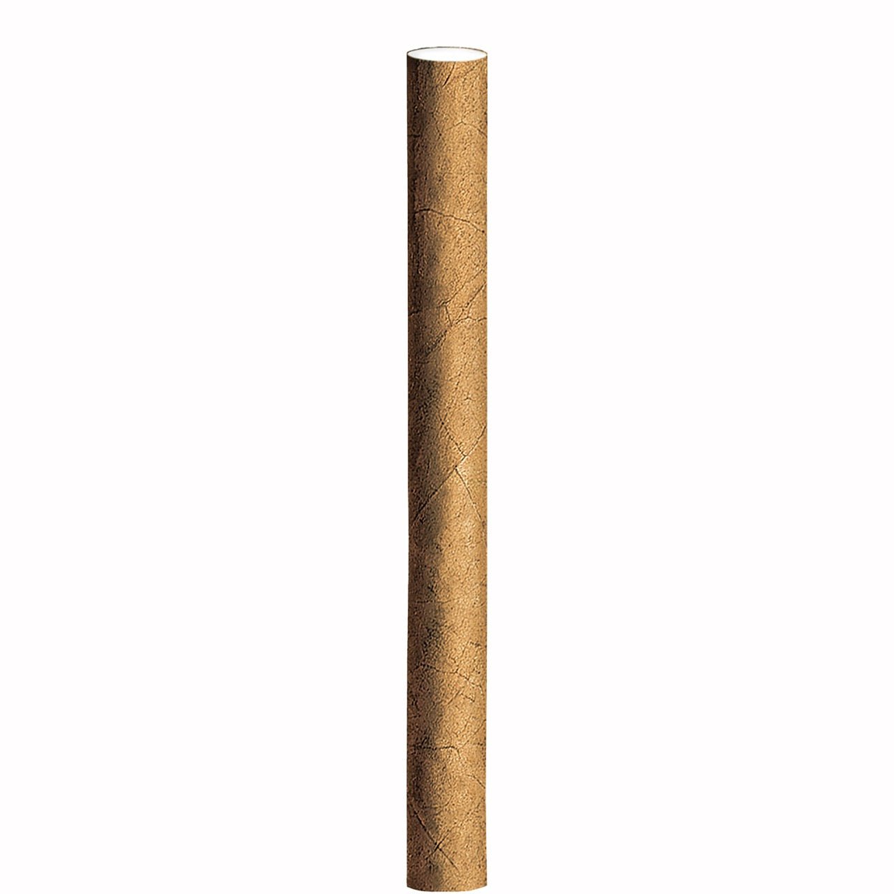 Einzelnes Villiger Black Mini Cigarillo mit Filter, Nahaufnahme